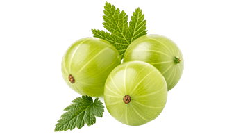 Herbal Image