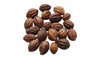Herbal Image