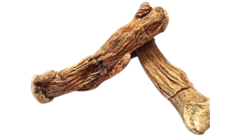 Herbal Image