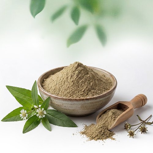 Bhringraj Powder